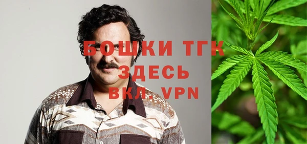 дживик Арсеньев