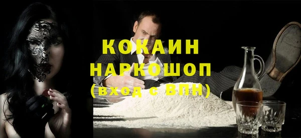 хмурый Аркадак