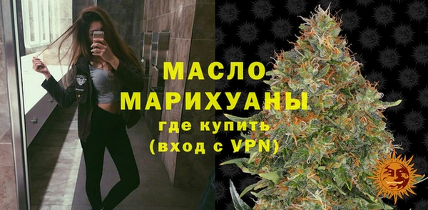 хмурый Аркадак