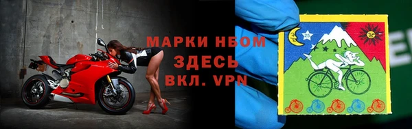 хмурый Аркадак