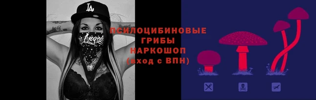 хмурый Аркадак