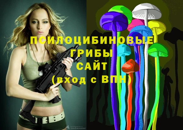 хмурый Аркадак