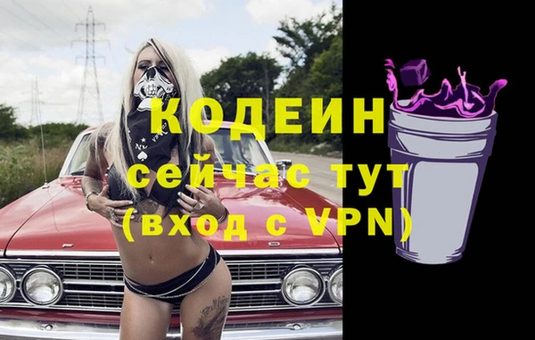 хмурый Аркадак