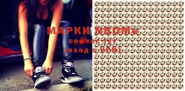хмурый Аркадак