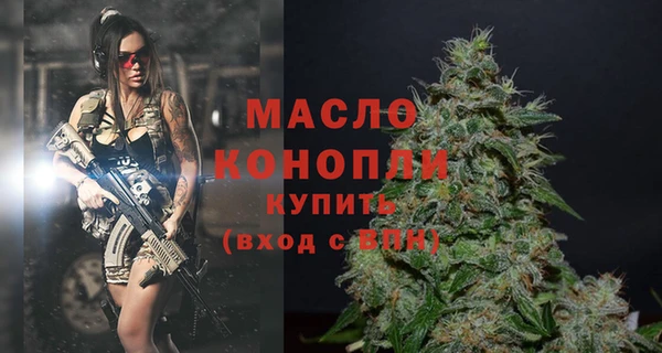 хмурый Аркадак