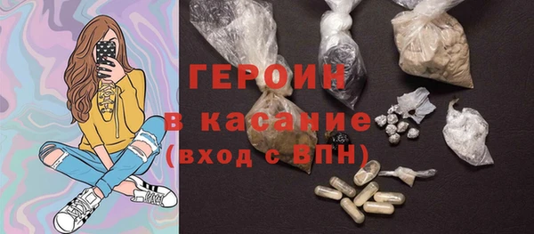 хмурый Аркадак