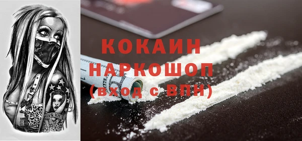 хмурый Аркадак