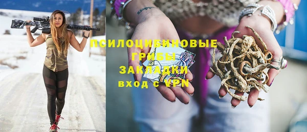 хмурый Аркадак
