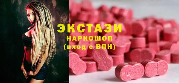 хмурый Аркадак