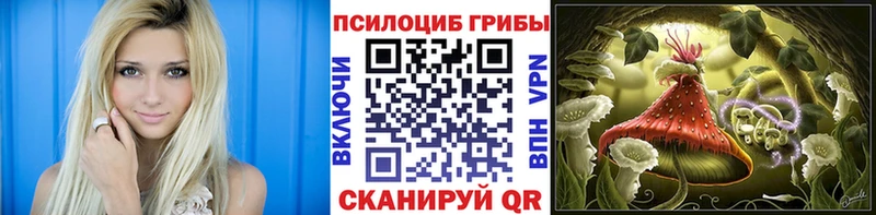 kraken зеркало  Нефтекумск  Галлюциногенные грибы Psilocybe  наркотики 